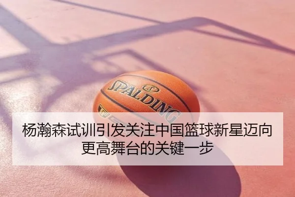 杨瀚森试训引发关注中国篮球新星迈向更高舞台的关键一步