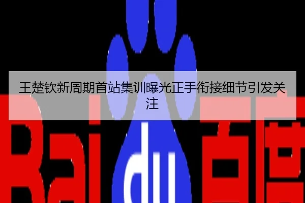 王楚钦新周期首站集训曝光正手衔接细节引发关注